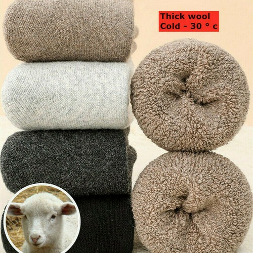 Lot 5pairs men wool cushioned - wool,