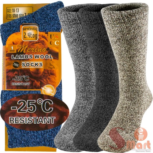 Pairs winter merino lambs - pairs,